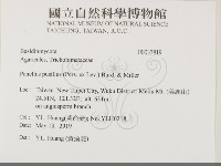 登錄號:F0033819藏品圖，第2張