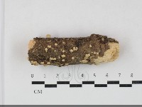 登錄號:F0033819藏品圖，第1張