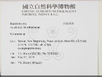 登錄號:F0033821藏品圖，第2張