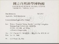 登錄號:F0033822藏品圖，第2張