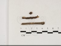 登錄號:F0033822藏品圖，第1張