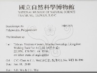 登錄號:F0033823藏品圖，第2張