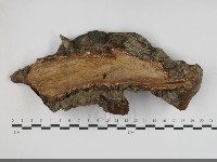 登錄號:F0033823藏品圖，第3張