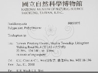 附毛菌屬藏品圖，第2張