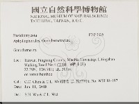 靈芝屬藏品圖，第2張