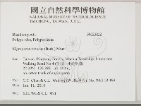 登錄號:F0033828藏品圖，第2張