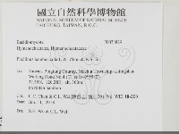 登錄號:F0033829藏品圖，第2張