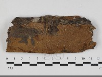 登錄號:F0033829藏品圖，第1張