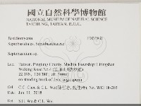 登錄號:F0033831藏品圖，第2張