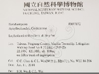 登錄號:F0033832藏品圖，第2張