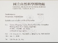 登錄號:F0033834藏品圖，第2張