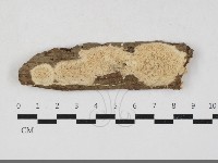 登錄號:F0033834藏品圖，第1張