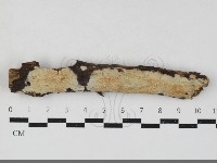 登錄號:F0033835藏品圖，第1張