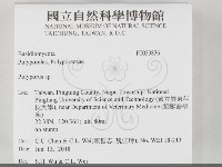 多孔菌屬藏品圖，第2張