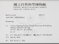 登錄號:F0033837藏品圖，第2張