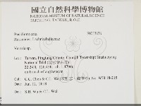 登錄號:F0033838藏品圖，第2張