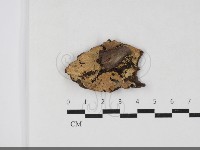 登錄號:F0033839藏品圖，第1張