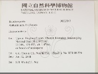 刺皮菌屬藏品圖，第2張