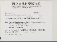 登錄號:F0033844藏品圖，第2張