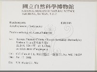 登錄號:F0033845藏品圖，第2張