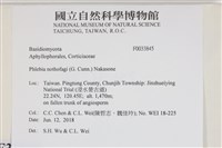 登錄號:F0033845藏品圖，第3張