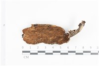 登錄號:F0033845藏品圖，第1張