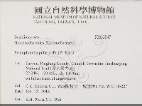 登錄號:F0033847藏品圖，第2張