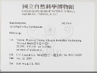 射脈菌屬藏品圖，第2張