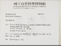 登錄號:F0033849藏品圖，第2張