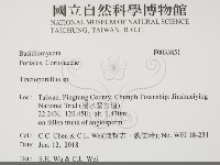 登錄號:F0033851藏品圖，第2張