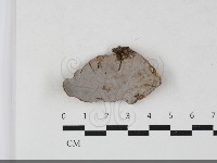 登錄號:F0033851藏品圖，第1張