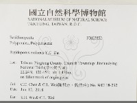 登錄號:F0033852藏品圖，第2張