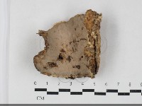 登錄號:F0033852藏品圖，第1張