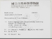 登錄號:F0033853藏品圖，第2張