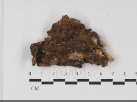 登錄號:F0033853藏品圖，第1張