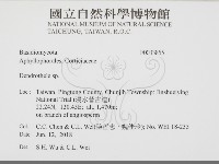 樹狀皮革菌屬藏品圖，第2張