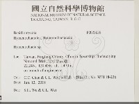 刺革菌屬藏品圖，第2張