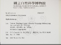 絲皮菌屬藏品圖，第2張