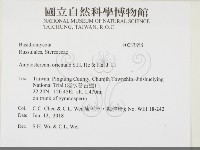 登錄號:F0033858藏品圖，第2張