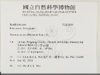 蠔韌革菌藏品圖，第2張