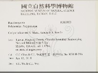 登錄號:F0033860藏品圖，第2張