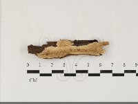 登錄號:F0033860藏品圖，第1張