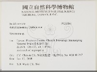 登錄號:F0033861藏品圖，第2張