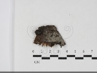 登錄號:F0033861藏品圖，第1張