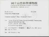 登錄號:F0033864藏品圖，第2張