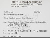 登錄號:F0033865藏品圖，第2張