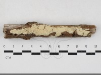 登錄號:F0033865藏品圖，第1張