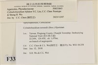 登錄號:F0033865藏品圖，第3張