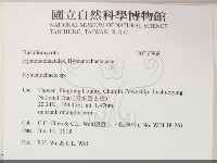 刺革菌屬藏品圖，第2張