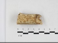 登錄號:F0033869藏品圖，第1張